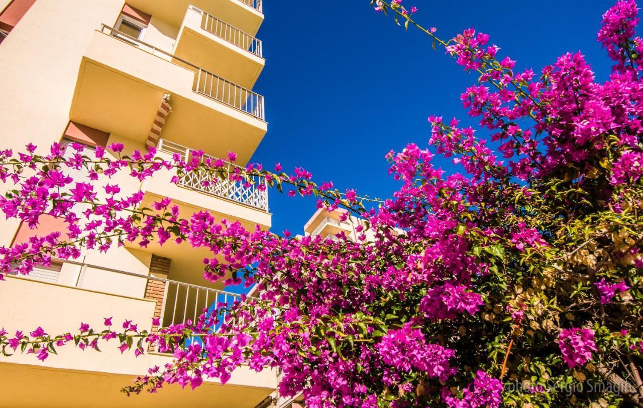 127 Jupiter Estudio. Vista Al Jardin Y La Piscina. Benalmádena Kültér fotó